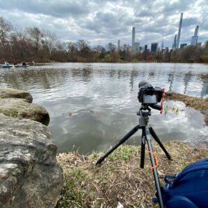 The Lake at Central Park